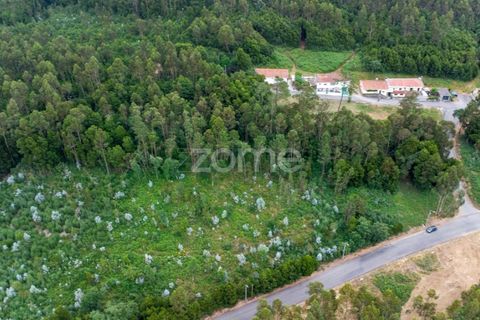Helårsgrund i Grijo, Porto, Grijo - € 45.000 | Ref: ZMPT579557 - foto 7