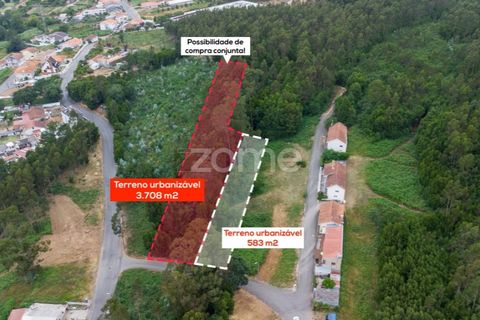 Helårsgrund i Grijo, Porto, Grijo - € 45.000 | Ref: ZMPT579557 - foto 8