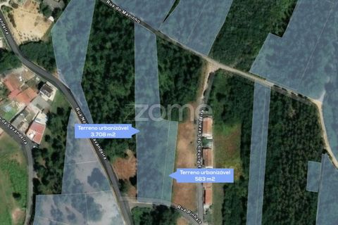 Helårsgrund i Grijo, Porto, Grijo - € 45.000 | Ref: ZMPT579557 - foto 10