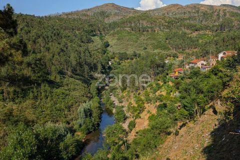 Villa i Arouca, Aveiro, Arouca - € 39.900 | Ref: ZMPT579473 - foto 37