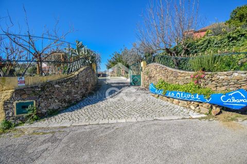 Villa i Tomar, Santarem, Tomar - € 575.000 | Ref: 405/A/00005 - foto 4