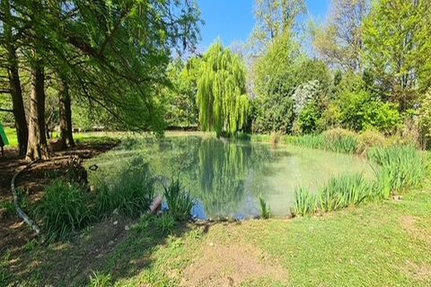 Landejendom i Riese Pio X, Treviso, Riese Pio X - € 1.150.000 | Ref: V003215 - foto 29
