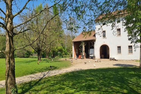 Landejendom i Riese Pio X, Treviso, Riese Pio X - € 1.150.000 | Ref: V003215 - foto 10