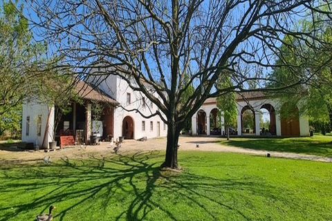 Landejendom i Riese Pio X, Treviso, Riese Pio X - € 1.150.000 | Ref: V003215 - foto 9
