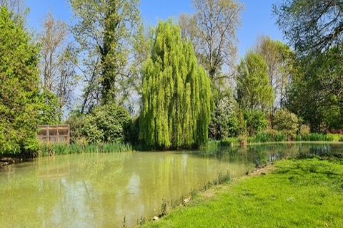 Landejendom i Riese Pio X, Treviso, Riese Pio X - € 1.150.000 | Ref: V003215 - foto 30