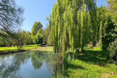 Landejendom i Riese Pio X, Treviso, Riese Pio X - € 1.150.000 | Ref: V003215 - foto 27