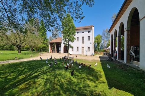 Landejendom i Riese Pio X, Treviso, Riese Pio X - € 1.150.000 | Ref: V003215 - foto 11