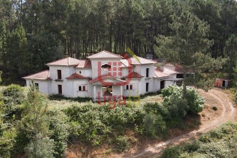 Villa i Matas e Cercal, Santarem, Matas e Cercal - € 350.000 | Ref: 1333 - foto 3