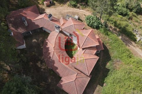 Villa i Matas e Cercal, Santarem, Matas e Cercal - € 350.000 | Ref: 1333 - foto 6