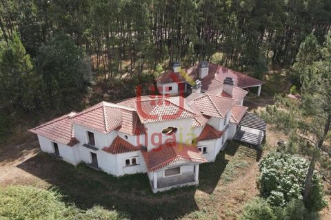 Villa i Matas e Cercal, Santarem, Matas e Cercal - € 350.000 | Ref: 1333 - foto 7