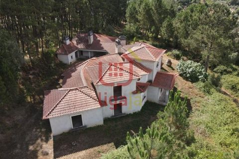 Villa i Matas e Cercal, Santarem, Matas e Cercal - € 350.000 | Ref: 1333 - foto 8