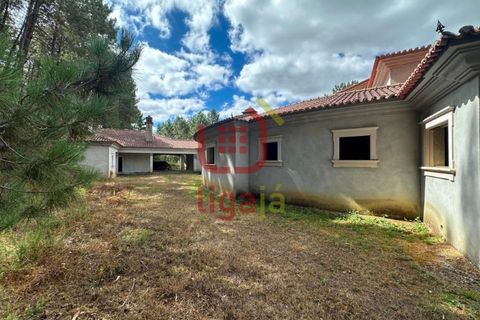 Villa i Matas e Cercal, Santarem, Matas e Cercal - € 350.000 | Ref: 1333 - foto 11