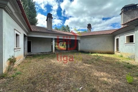 Villa i Matas e Cercal, Santarem, Matas e Cercal - € 350.000 | Ref: 1333 - foto 12