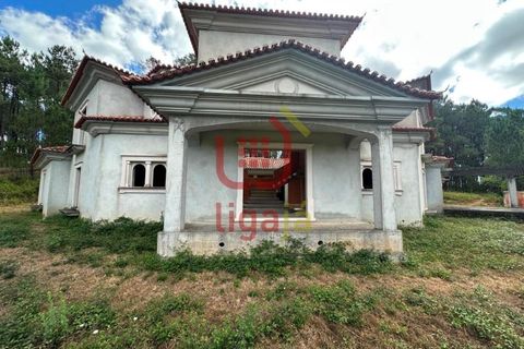 Villa i Matas e Cercal, Santarem, Matas e Cercal - € 350.000 | Ref: 1333 - foto 13