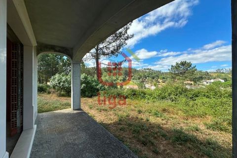 Villa i Matas e Cercal, Santarem, Matas e Cercal - € 350.000 | Ref: 1333 - foto 38