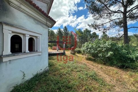 Villa i Matas e Cercal, Santarem, Matas e Cercal - € 350.000 | Ref: 1333 - foto 39