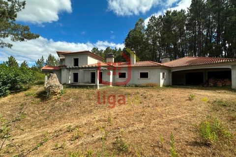 Villa i Matas e Cercal, Santarem, Matas e Cercal - € 350.000 | Ref: 1333 - foto 40