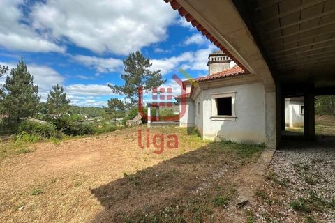 Villa i Matas e Cercal, Santarem, Matas e Cercal - € 350.000 | Ref: 1333 - foto 41