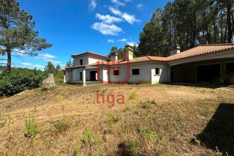Villa i Matas e Cercal, Santarem, Matas e Cercal - € 350.000 | Ref: 1333 - foto 45
