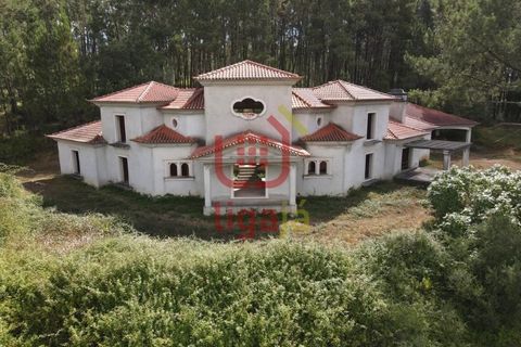 Villa i Matas e Cercal, Santarem, Matas e Cercal - € 350.000 | Ref: 1333 - foto 46