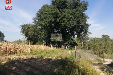 Helårsgrund i Oliveira do Bairro, Aveiro, Oliveira do Bairro - € 28.000 | Ref: 922 - foto 4