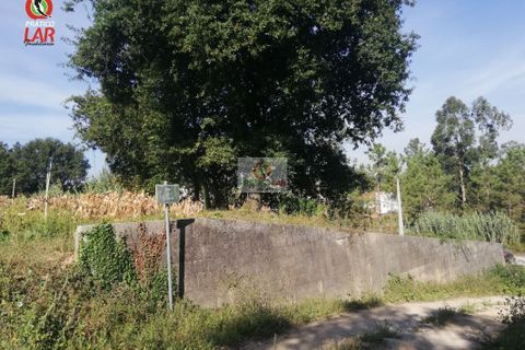 Helårsgrund i Oliveira do Bairro, Aveiro, Oliveira do Bairro - € 28.000 | Ref: 922 - foto 7