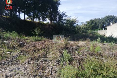 Helårsgrund i Oliveira do Bairro, Aveiro, Oliveira do Bairro - € 28.000 | Ref: 922 - foto 10