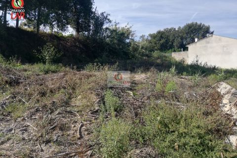 Helårsgrund i Oliveira do Bairro, Aveiro, Oliveira do Bairro - € 28.000 | Ref: 922 - foto 11