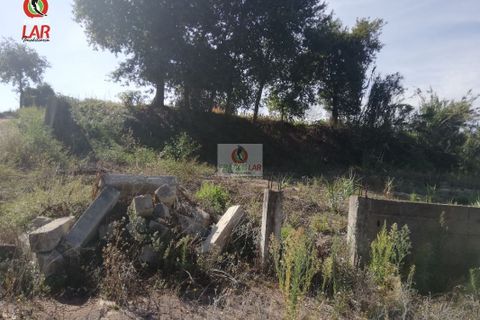 Helårsgrund i Oliveira do Bairro, Aveiro, Oliveira do Bairro - € 28.000 | Ref: 922 - foto 12