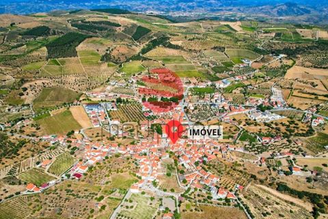Villa i Freixo de Numao, Guarda, Freixo de Numao - € 107.500 | Ref: 507/MDA - foto 15