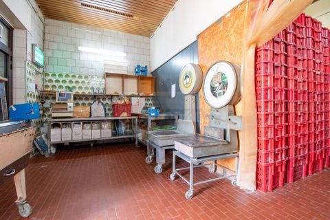 Erhvervsejendom i Osilo, Sassari, Osilo - € 150.000 | Ref: 13788 - foto 6