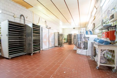 Erhvervsejendom i Osilo, Sassari, Osilo - € 150.000 | Ref: 13788 - foto 9