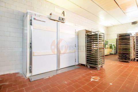 Erhvervsejendom i Osilo, Sassari, Osilo - € 150.000 | Ref: 13788 - foto 16