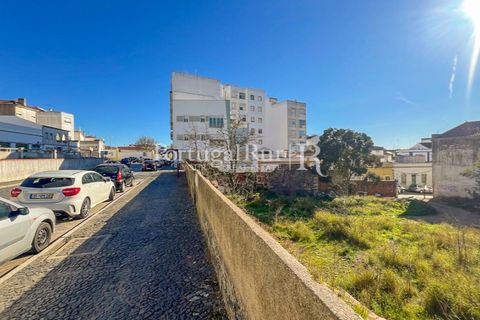 Tomt i Beja, Beja, Beja - € 950 000 | Ref: FG841 - foto 12