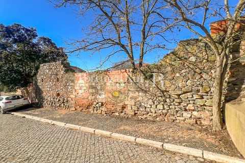 Tomt i Beja, Beja, Beja - € 950 000 | Ref: FG841 - foto 15