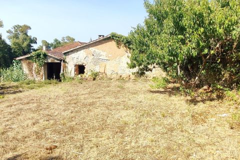 Helårsgrund i Antuzede e Vil de Matos, Coimbra, Antuzede e Vil de Matos - € 50.000 | Ref: C0372-01672 - foto 7