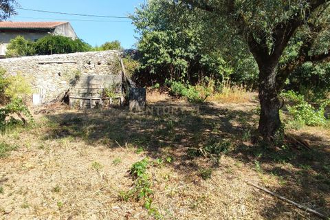 Helårsgrund i Antuzede e Vil de Matos, Coimbra, Antuzede e Vil de Matos - € 30.000 | Ref: C0372-01671 - foto 3