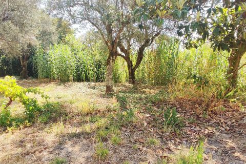 Helårsgrund i Antuzede e Vil de Matos, Coimbra, Antuzede e Vil de Matos - € 30.000 | Ref: C0372-01671 - foto 5
