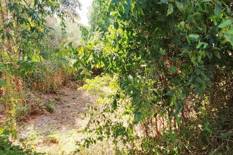 Helårsgrund i Antuzede e Vil de Matos, Coimbra, Antuzede e Vil de Matos - € 30.000 | Ref: C0372-01670 - foto 4