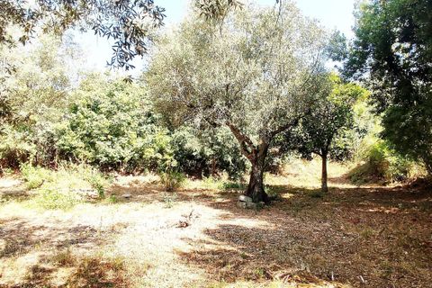 Helårsgrund i Antuzede e Vil de Matos, Coimbra, Antuzede e Vil de Matos - € 30.000 | Ref: C0372-01670 - foto 5