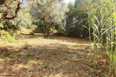 Helårsgrund i Antuzede e Vil de Matos, Coimbra, Antuzede e Vil de Matos - € 30.000 | Ref: C0372-01670 - foto 6