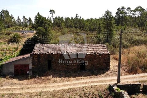 Ruinere i Castelo Branco, Castelo Branco, Castelo Branco - € 18.000 | Ref: H748 - foto 2