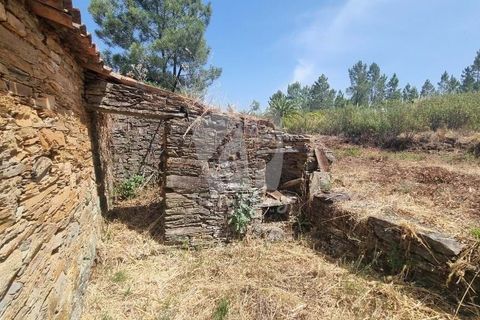 Ruinere i Castelo Branco, Castelo Branco, Castelo Branco - € 18.000 | Ref: H748 - foto 6