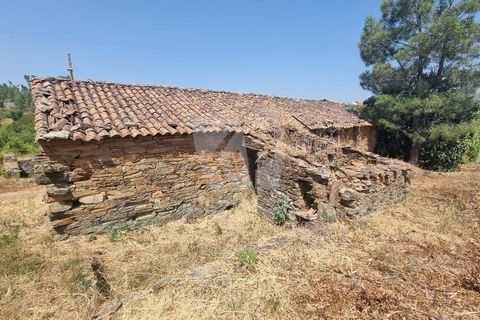 Ruinere i Castelo Branco, Castelo Branco, Castelo Branco - € 18.000 | Ref: H748 - foto 7