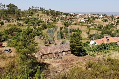 Ruinere i Castelo Branco, Castelo Branco, Castelo Branco - € 18.000 | Ref: H748 - foto 9