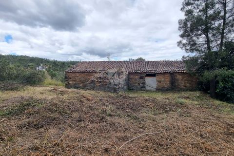 Ruinere i Castelo Branco, Castelo Branco, Castelo Branco - € 18.000 | Ref: H748 - foto 11