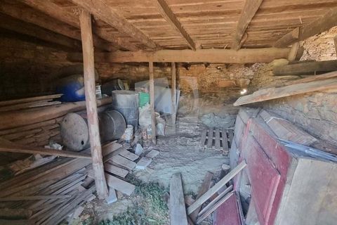 Ruinere i Castelo Branco, Castelo Branco, Castelo Branco - € 18.000 | Ref: H748 - foto 13