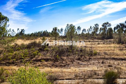 Helårsgrund i Castelo Branco, Castelo Branco, Castelo Branco - € 29.500 | Ref: PP4610 - foto 1