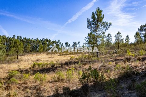 Helårsgrund i Castelo Branco, Castelo Branco, Castelo Branco - € 29.500 | Ref: PP4610 - foto 6
