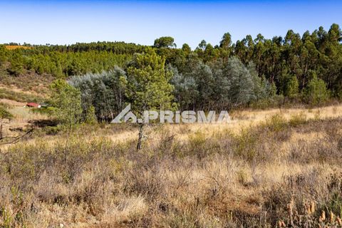 Helårsgrund i Castelo Branco, Castelo Branco, Castelo Branco - € 29.500 | Ref: PP4610 - foto 9